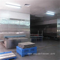 IQF Impingement Tunnel Freezer For Seafoods